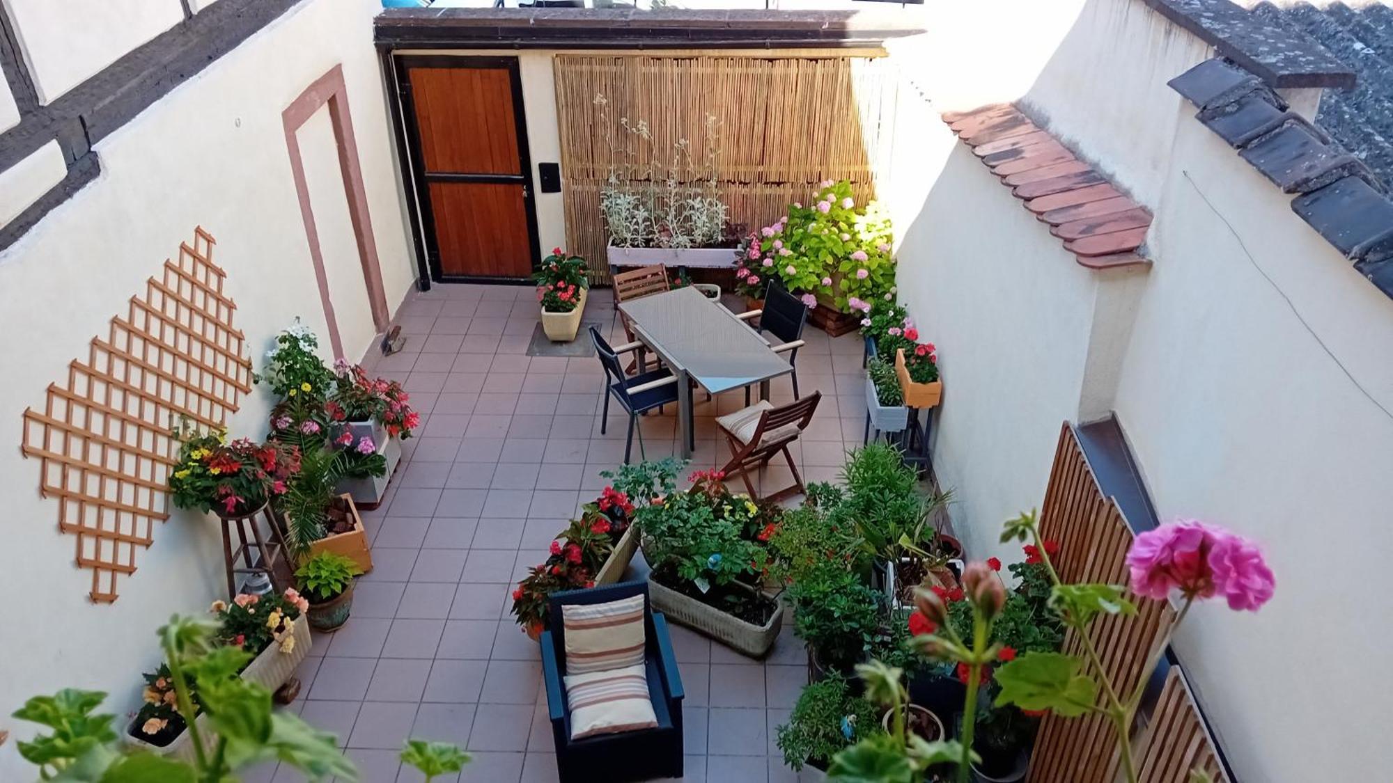 Ferienwohnung Le Balcon Sélestat Exterior foto