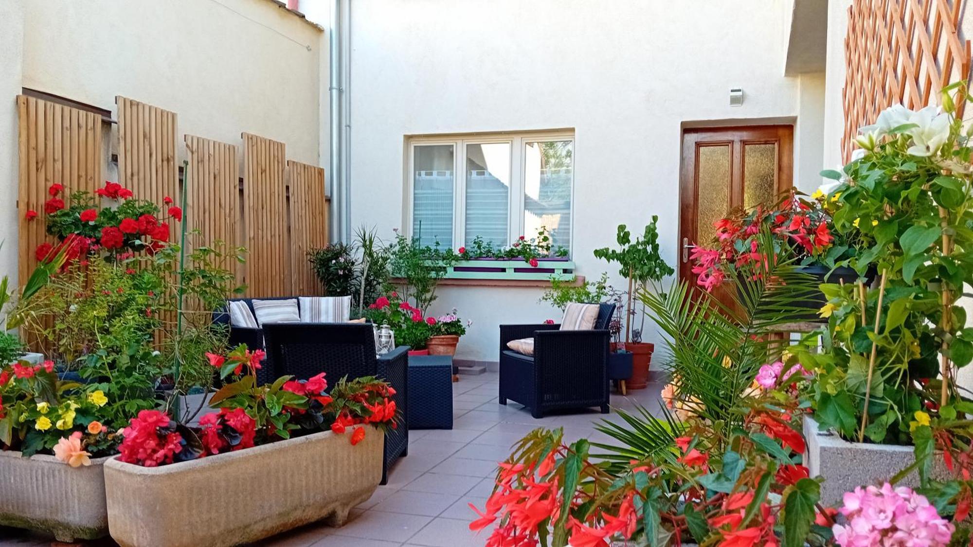 Ferienwohnung Le Balcon Sélestat Exterior foto